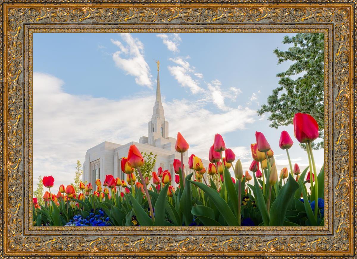 Ogden Flowers