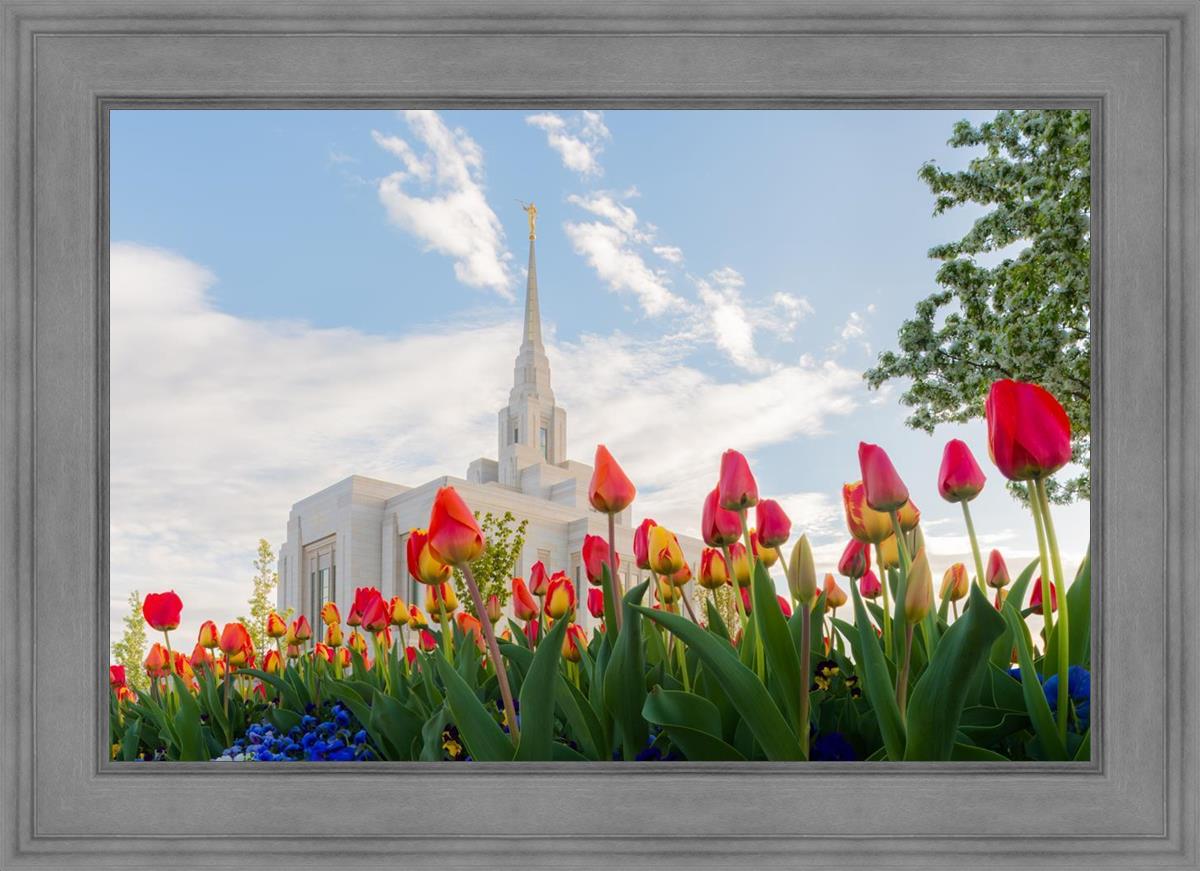Ogden Flowers