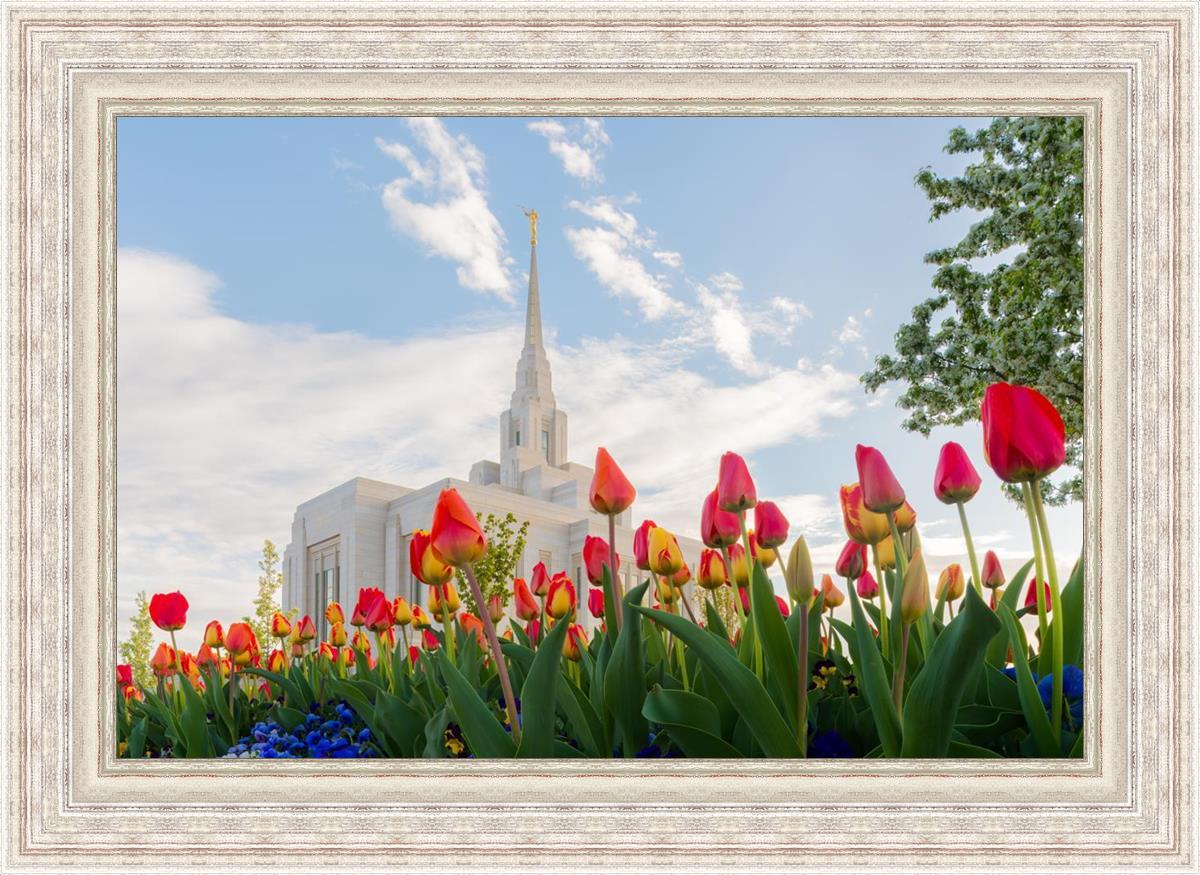 Ogden Flowers