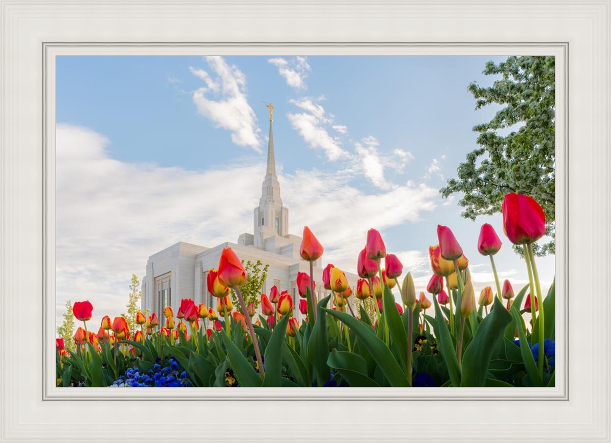 Ogden Flowers