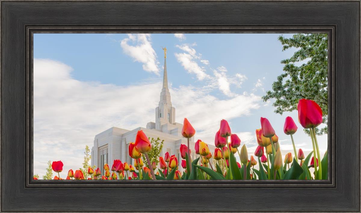 Ogden Flowers