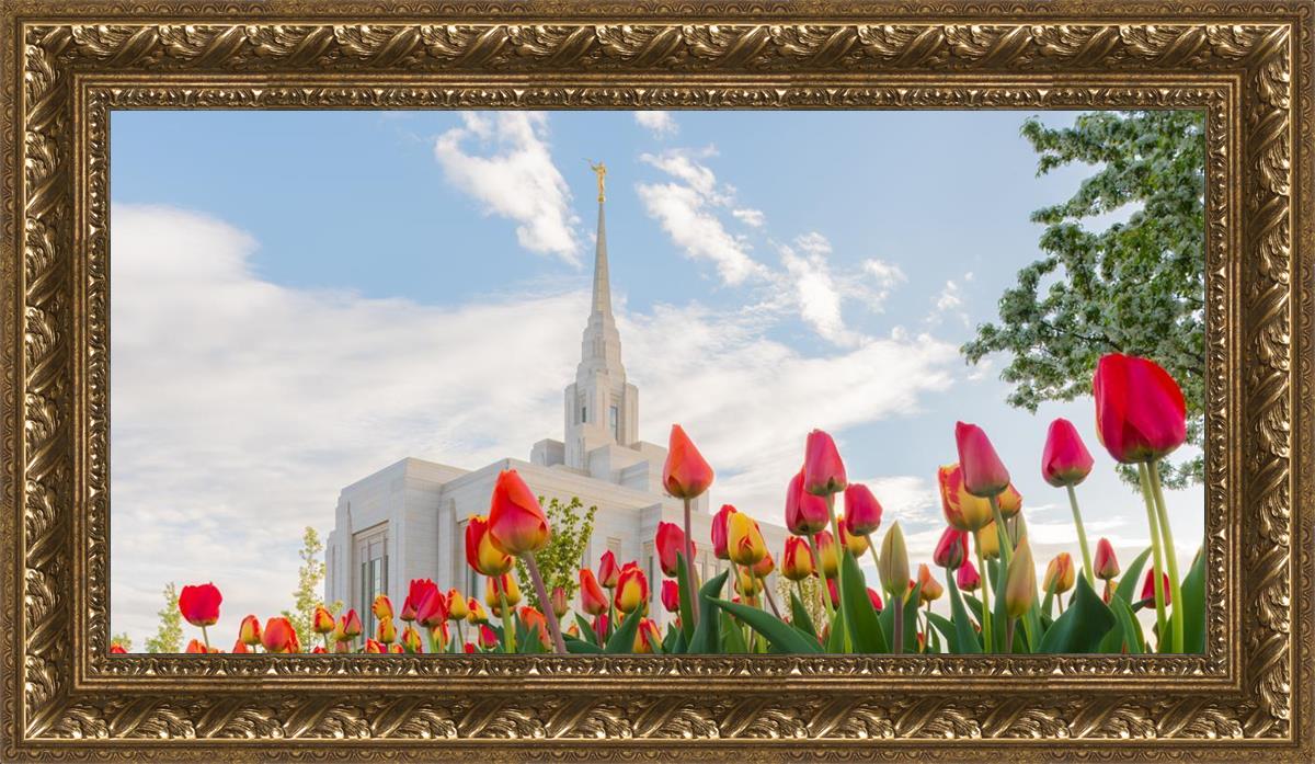 Ogden Flowers
