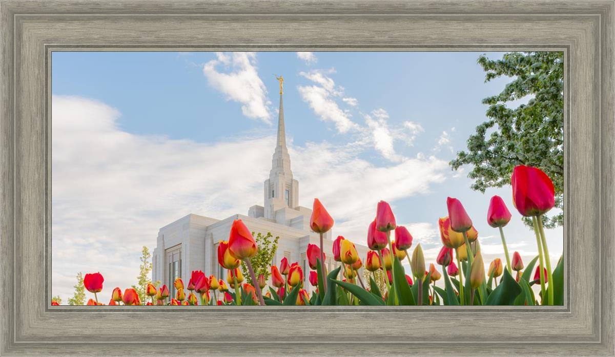 Ogden Flowers