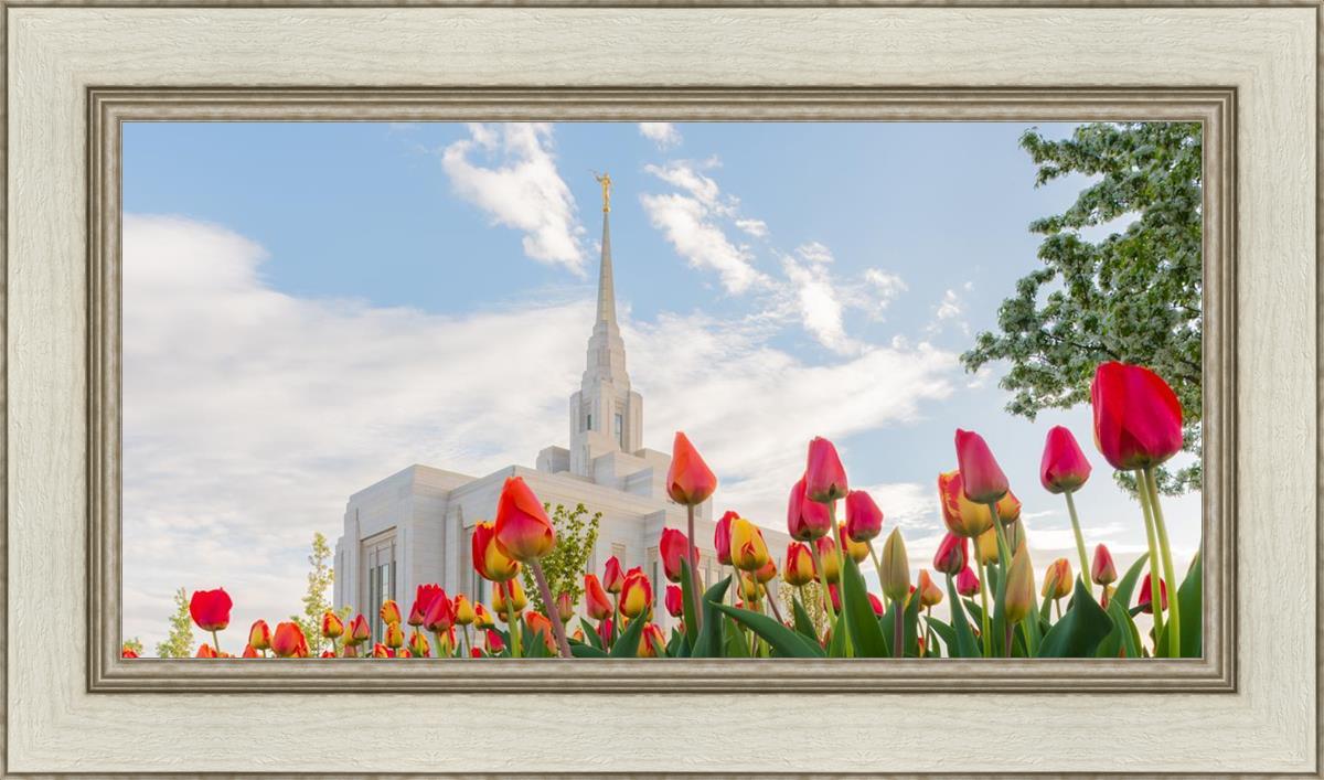 Ogden Flowers