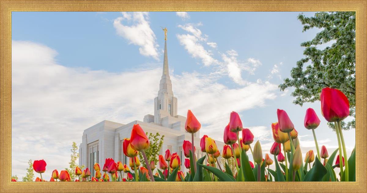 Ogden Flowers