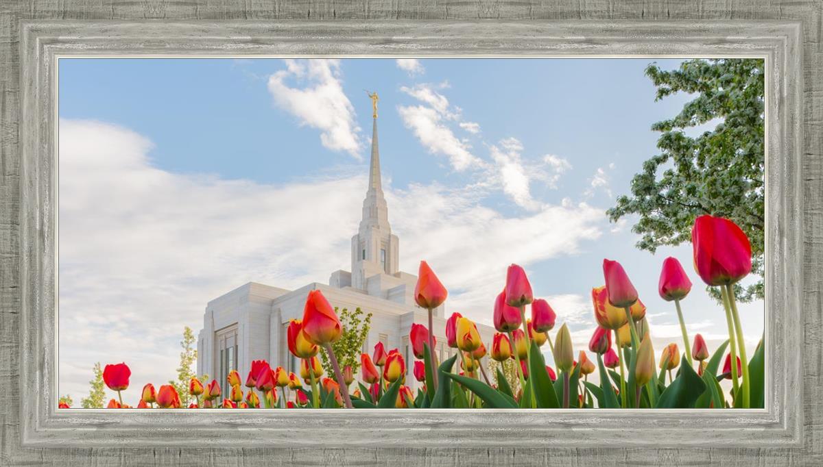 Ogden Flowers