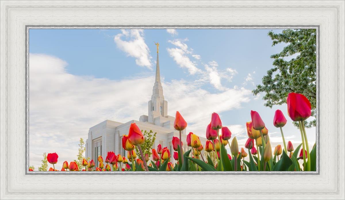 Ogden Flowers