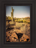 Phoenix Cactus Hill