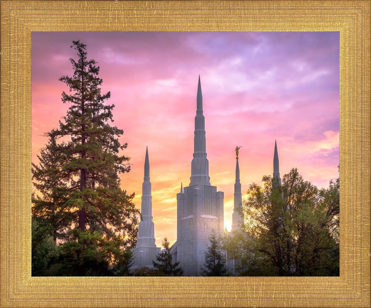 Portland Sunrise