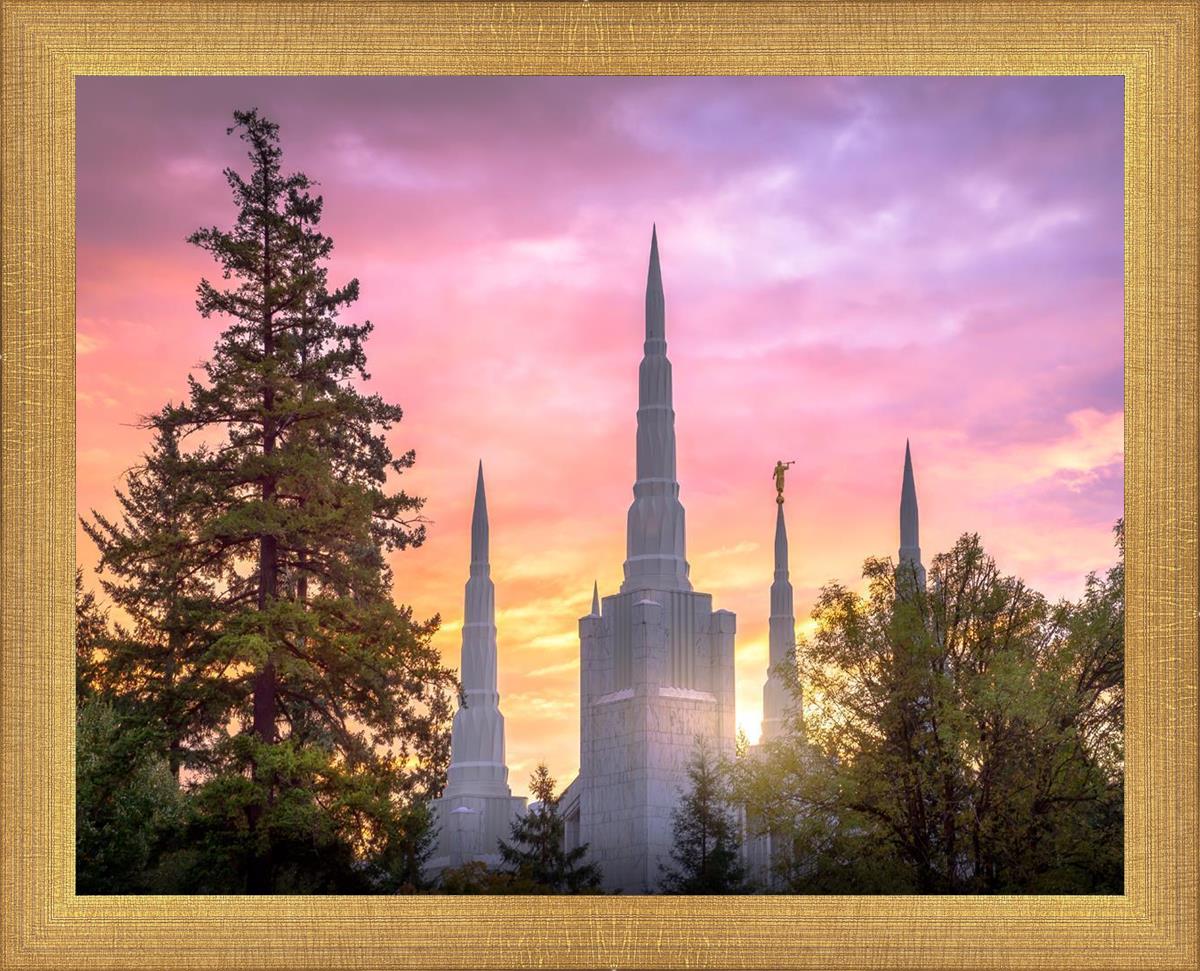 Portland Sunrise