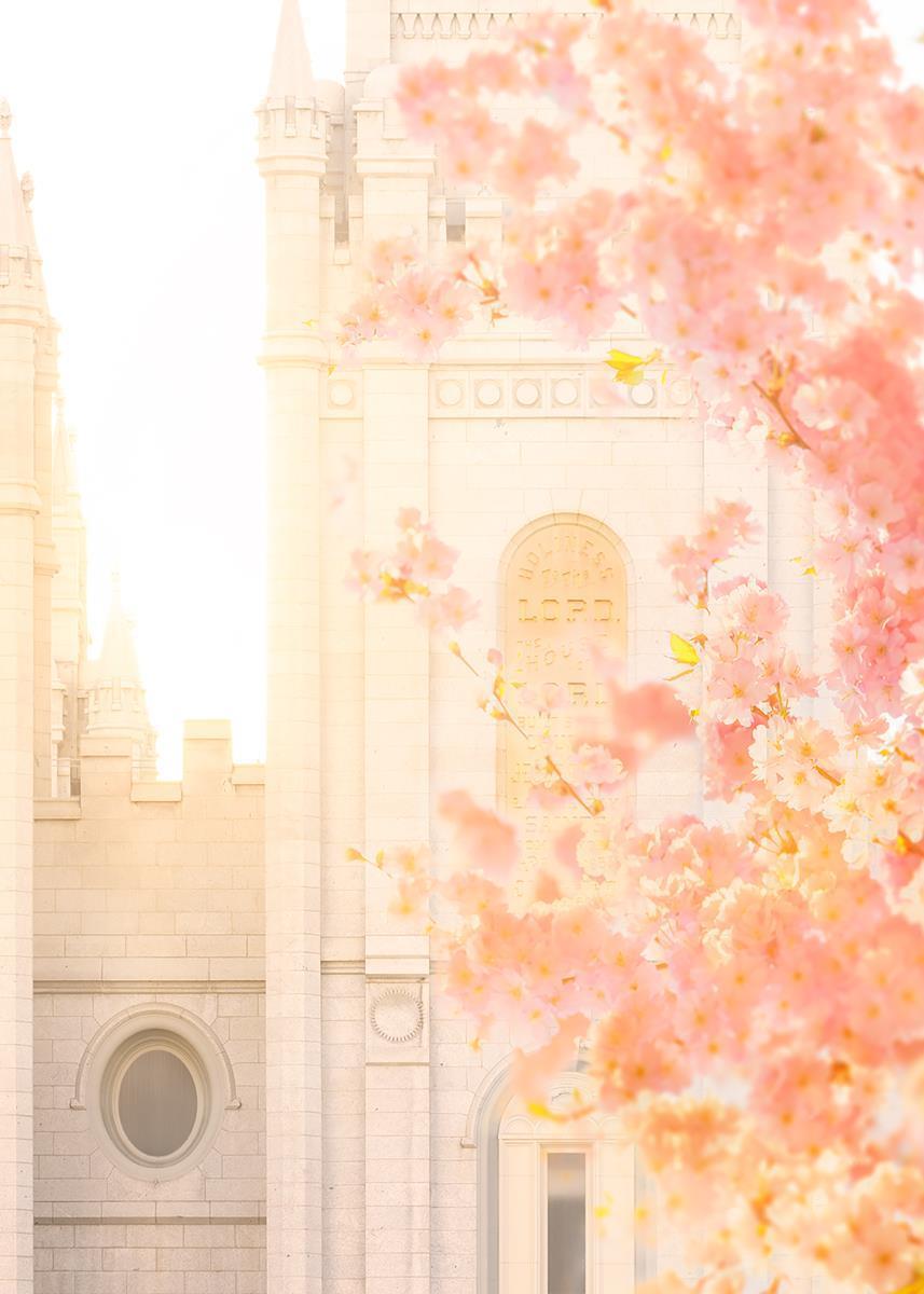 Salt Lake Blossom Glow