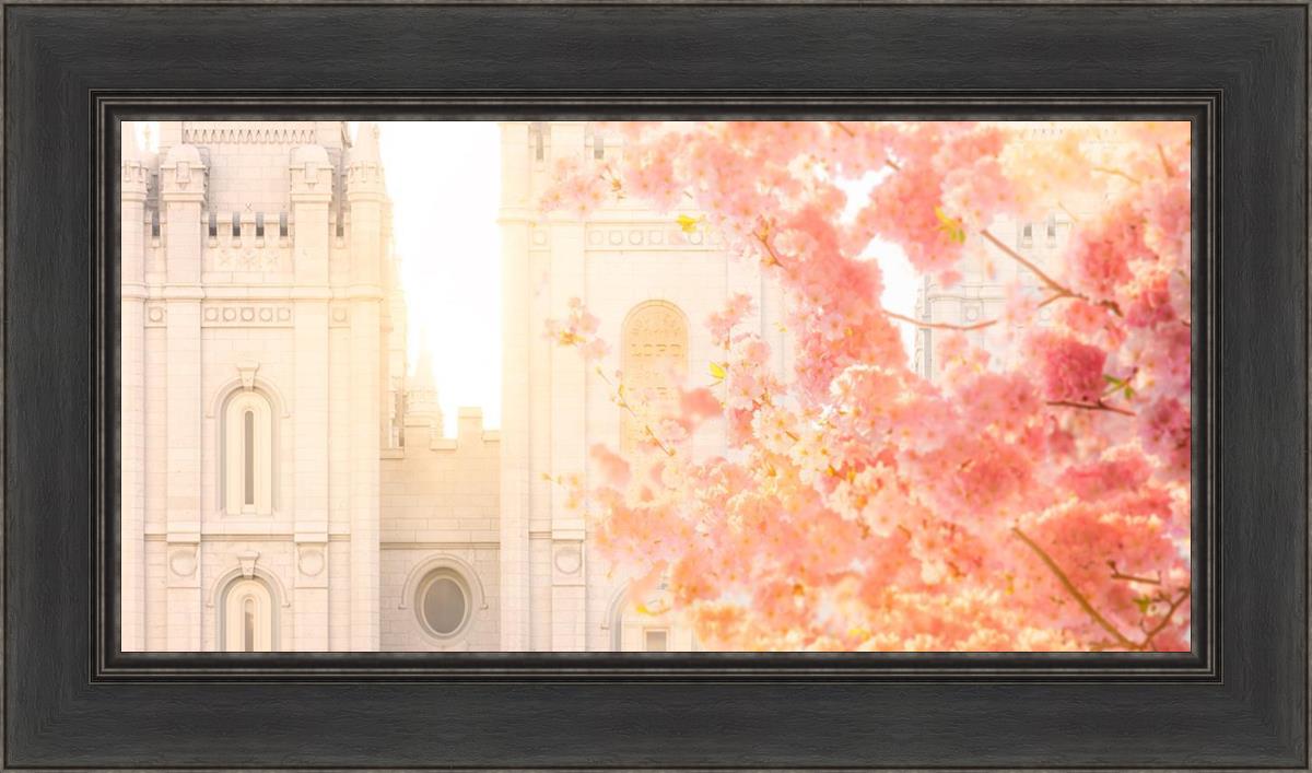 Salt Lake Blossom Glow