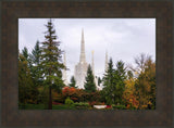 Portland Temple Forest Through The Trees