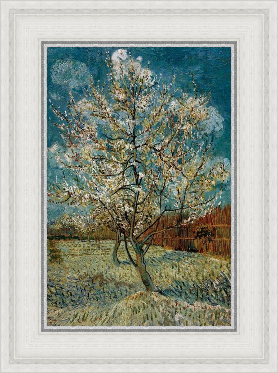 Peach Tree In Blossom