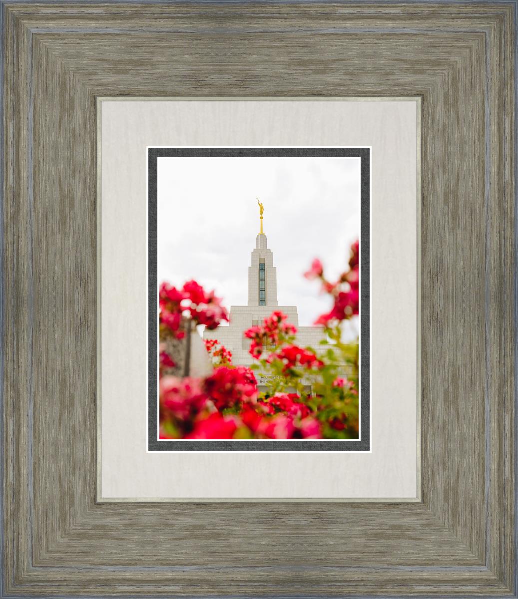Made Whole Again Draper Temple