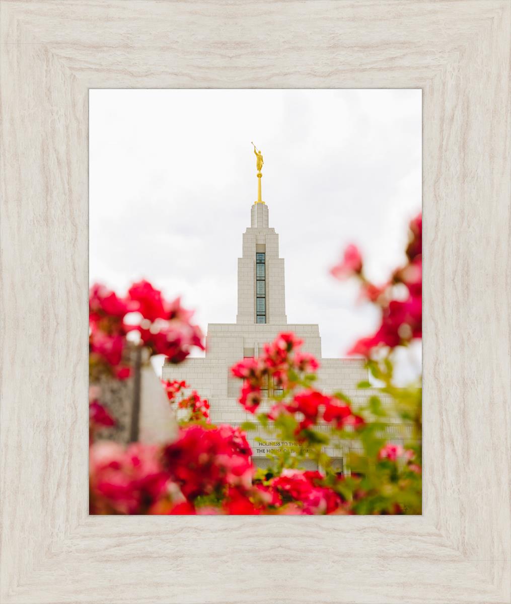 Made Whole Again Draper Temple