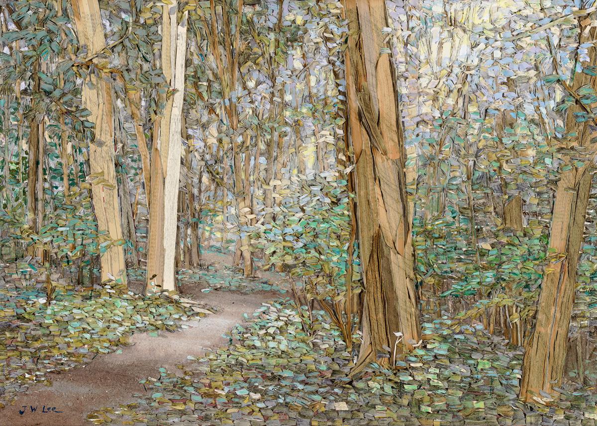Sacred Grove