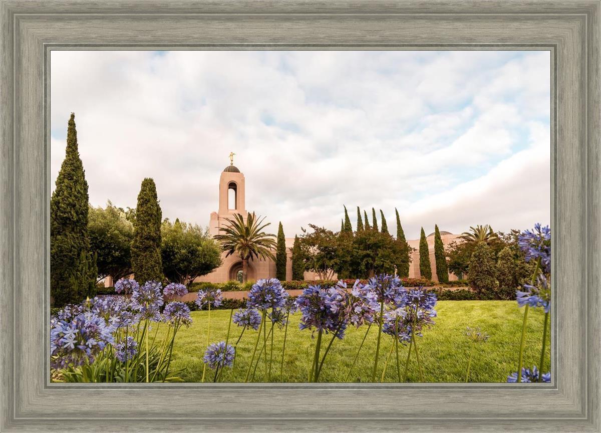 Newport Beach California Blooming Afternoon