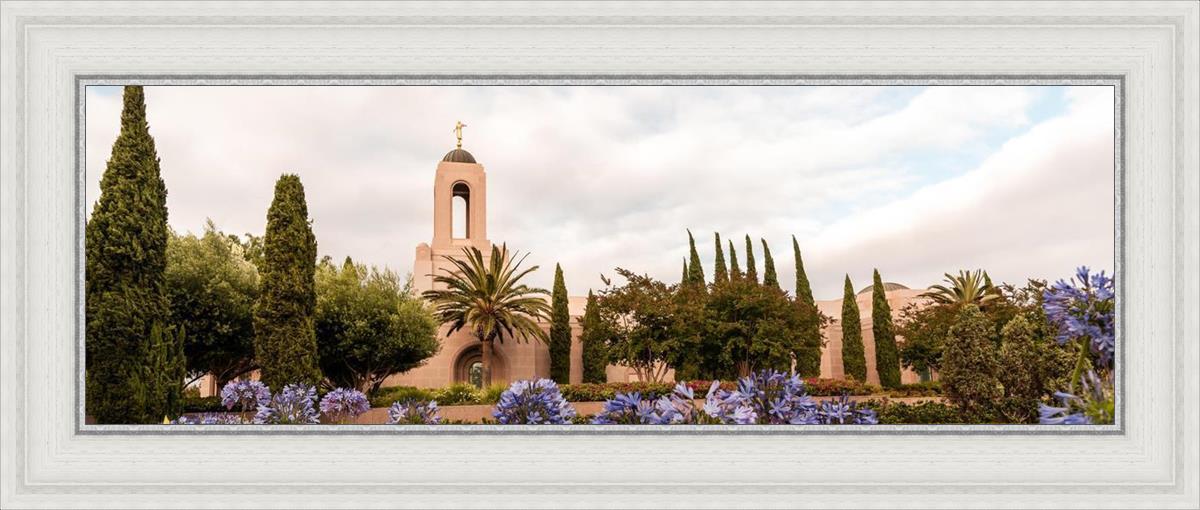 Newport Beach California Blooming Afternoon