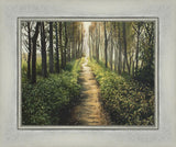 Enjoy The Beauty On Your Broken Path - Forest Walkway