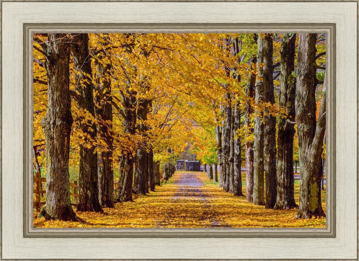 Plate 1 - Dairy Hill Horizontal