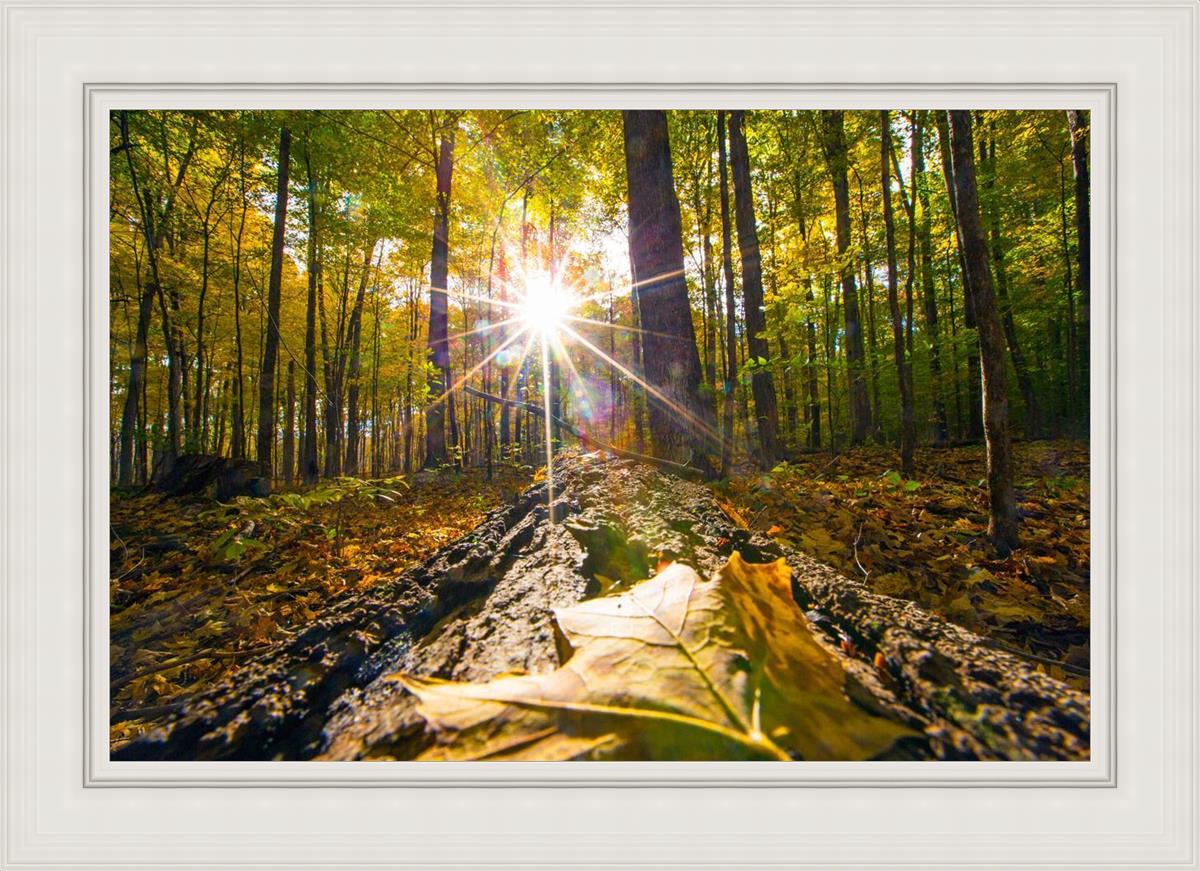 Plate 4 - Suddenly a Light Descended!