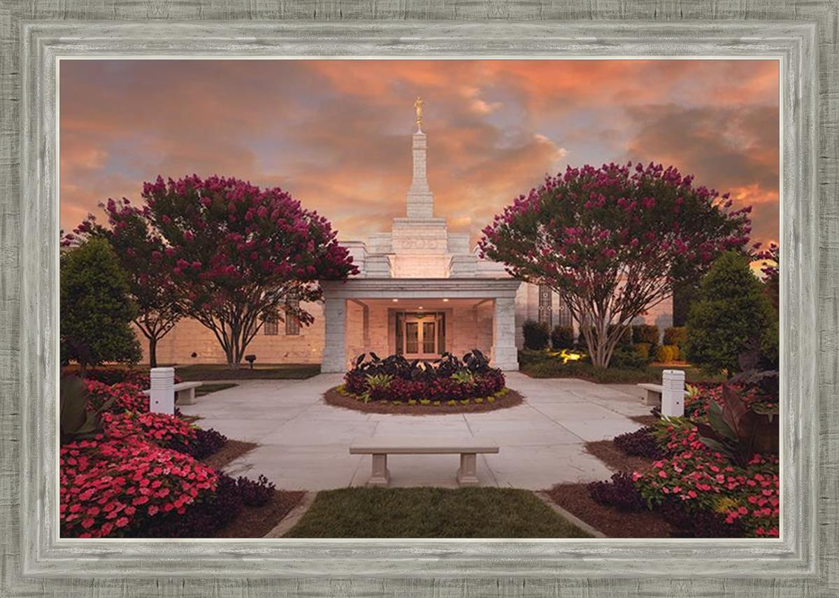 Raleigh Splendor