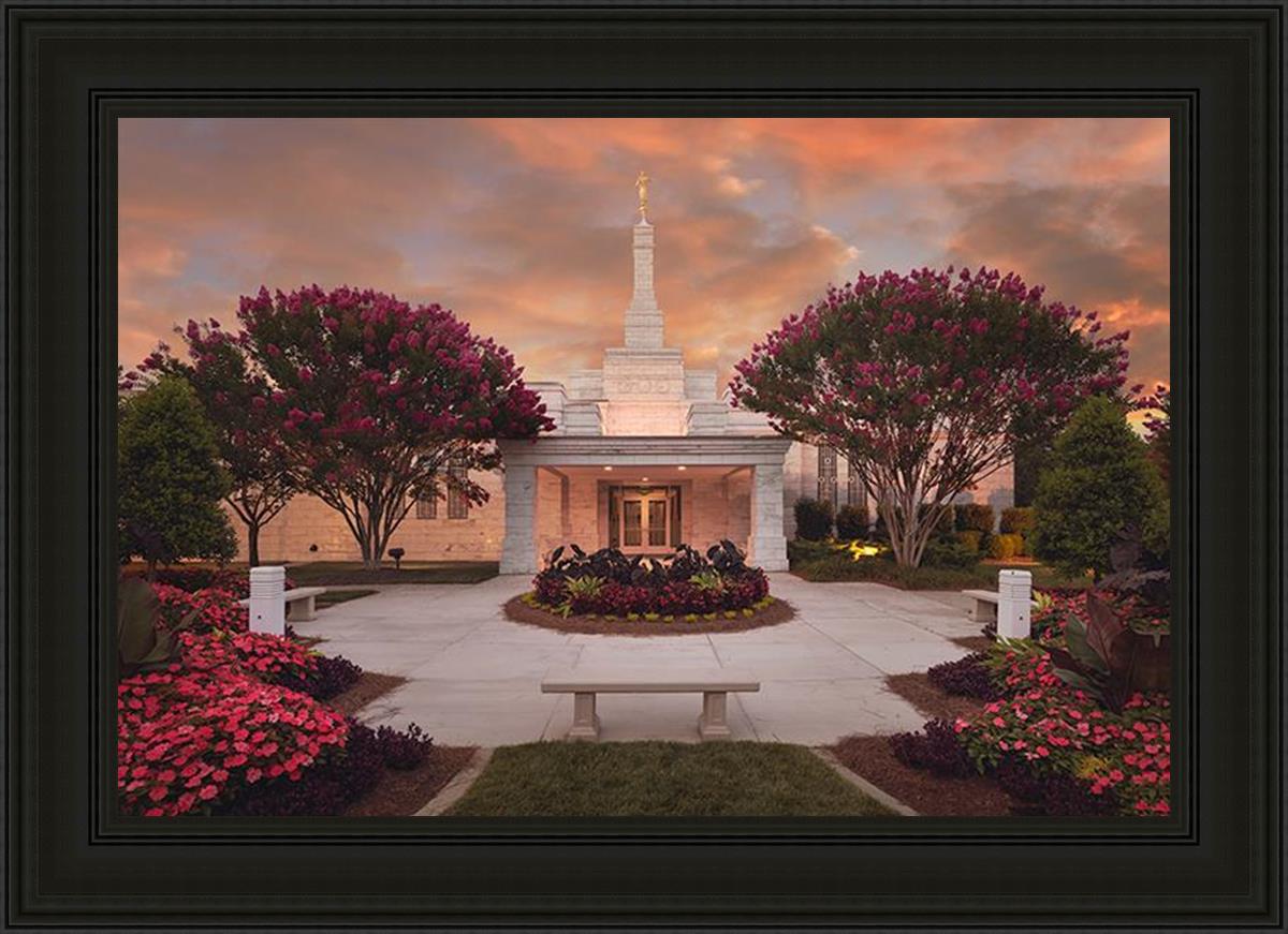 Raleigh Splendor