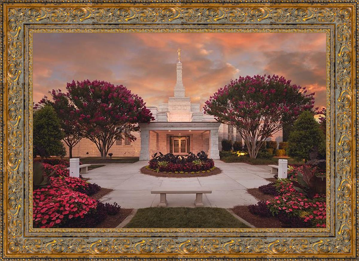 Raleigh Splendor