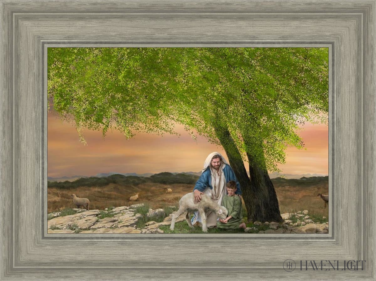 Feed My Lambs Open Edition Canvas / 18 X 12 Gray 23 3/4 17 Art