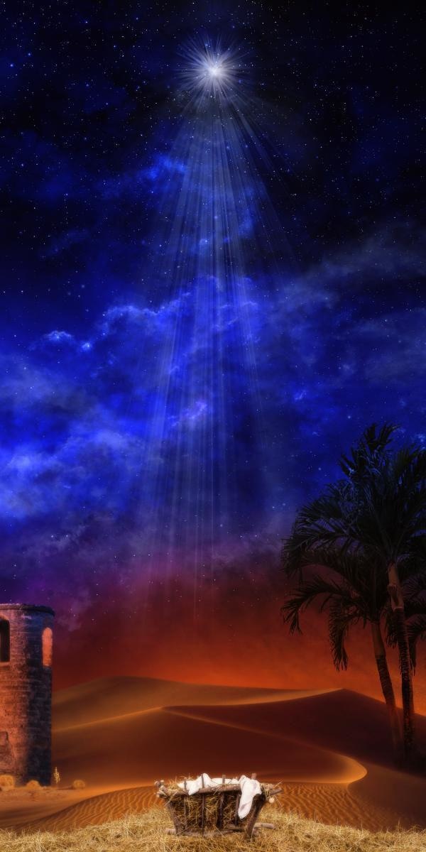 Holy Night Open Edition Canvas / 15 X 30 Rolled In Tube Art