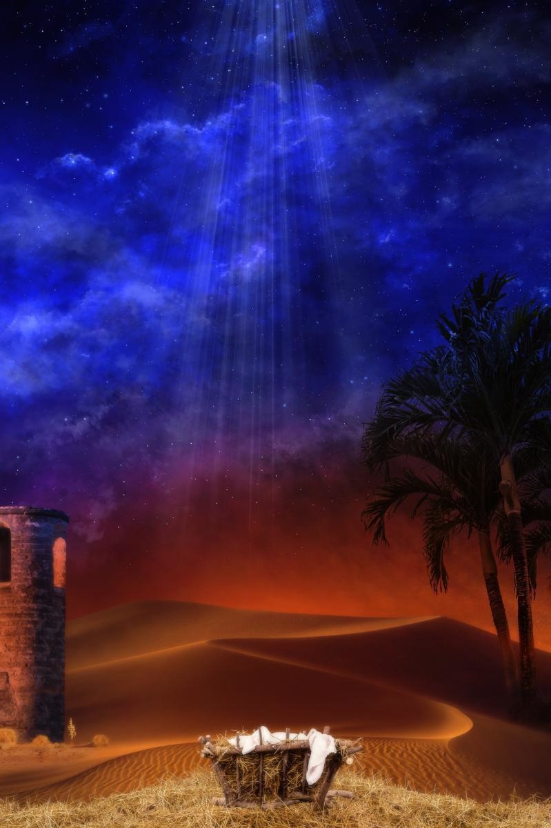Holy Night Open Edition Canvas / 20 X 30 Rolled In Tube Art