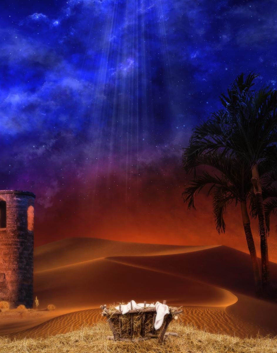 Holy Night Open Edition Print / 11 X 14 Only Art