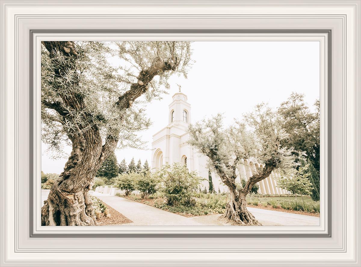 Feather River California Serenity