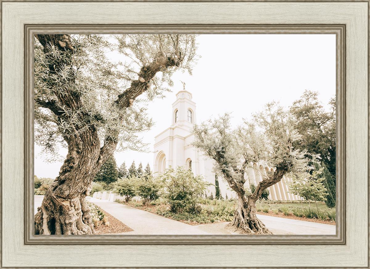 Feather River California Serenity
