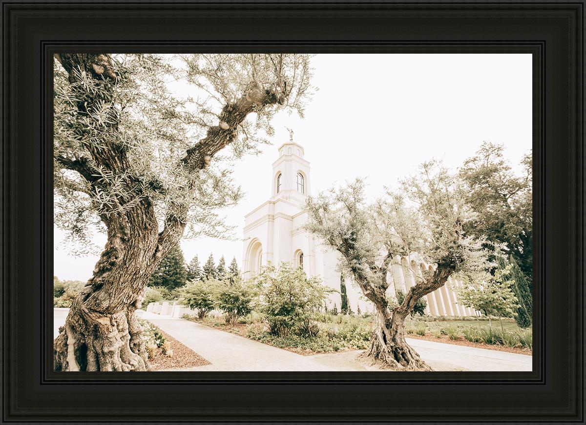 Feather River California Serenity