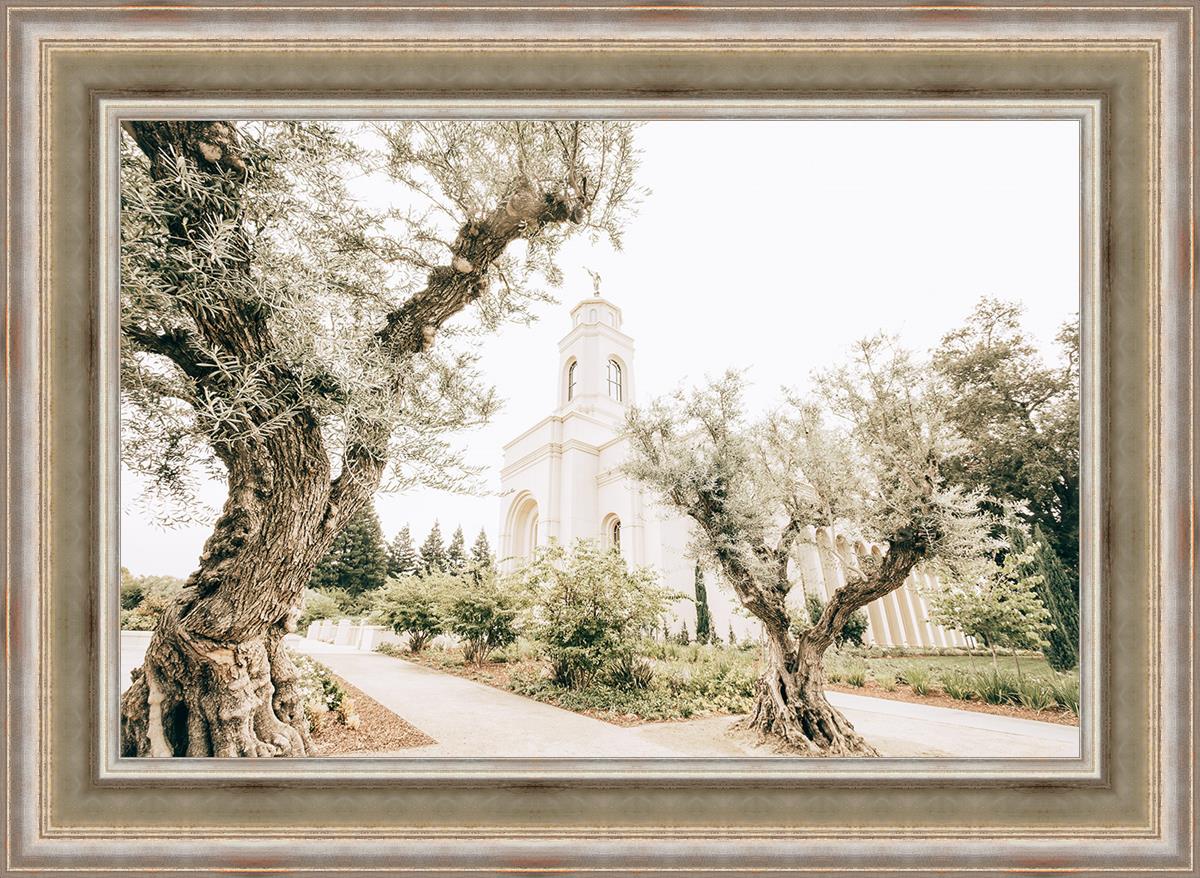 Feather River California Serenity