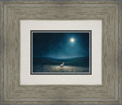 Star of Bethlehem