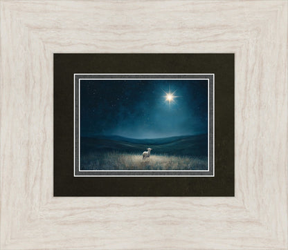 Star of Bethlehem