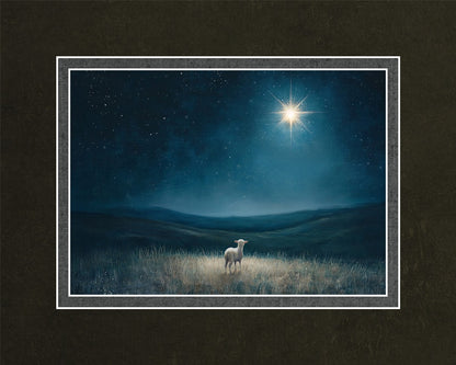 Star of Bethlehem