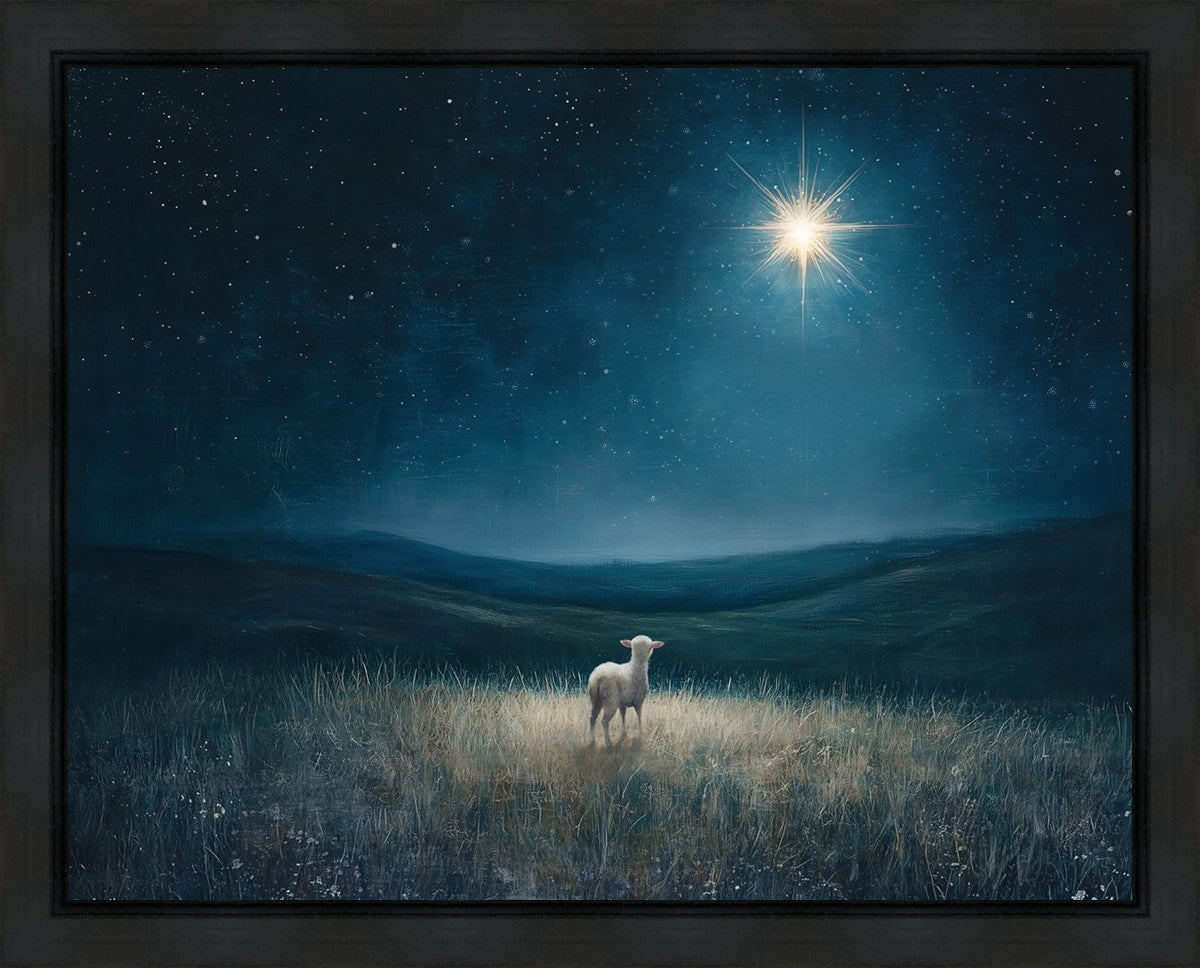 Star of Bethlehem
