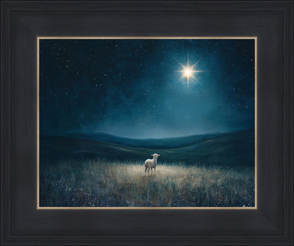 Star of Bethlehem