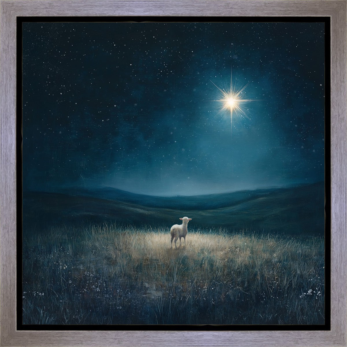 Star of Bethlehem Gallery Wrap