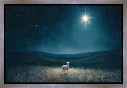 Star of Bethlehem Gallery Wrap