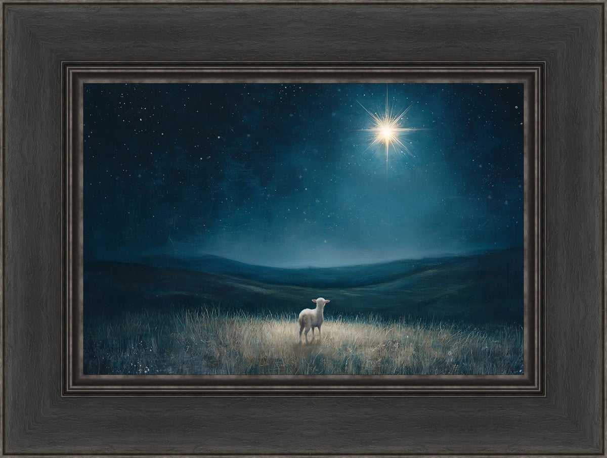 Star of Bethlehem