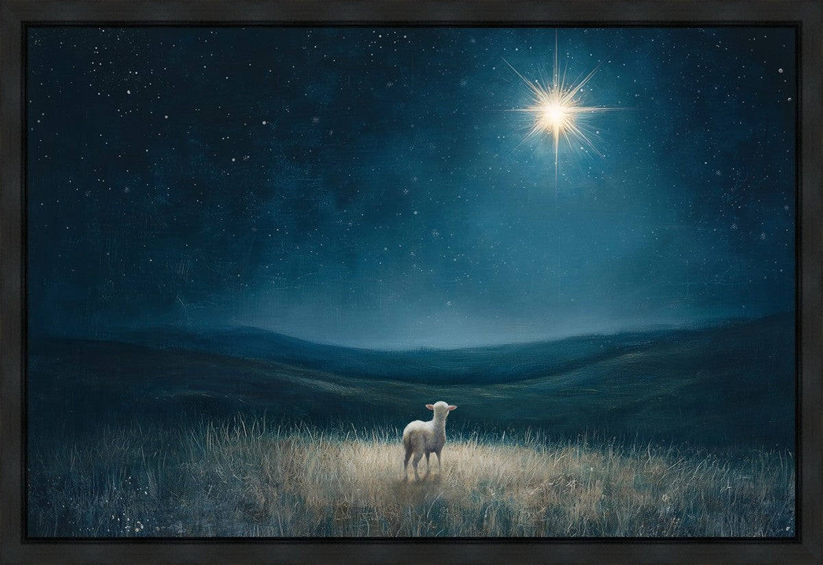 Star of Bethlehem