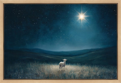 Star of Bethlehem Gallery Wrap