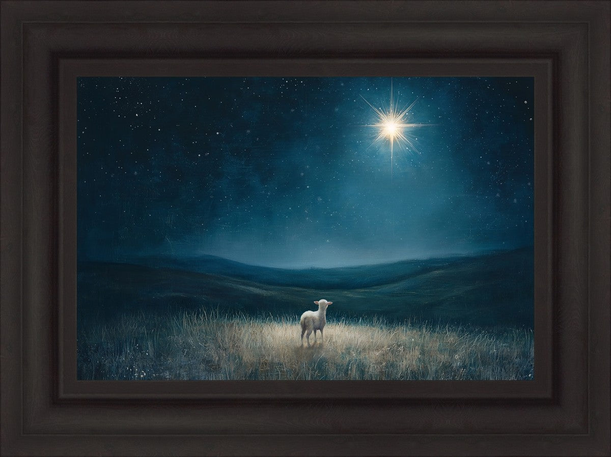 Star of Bethlehem