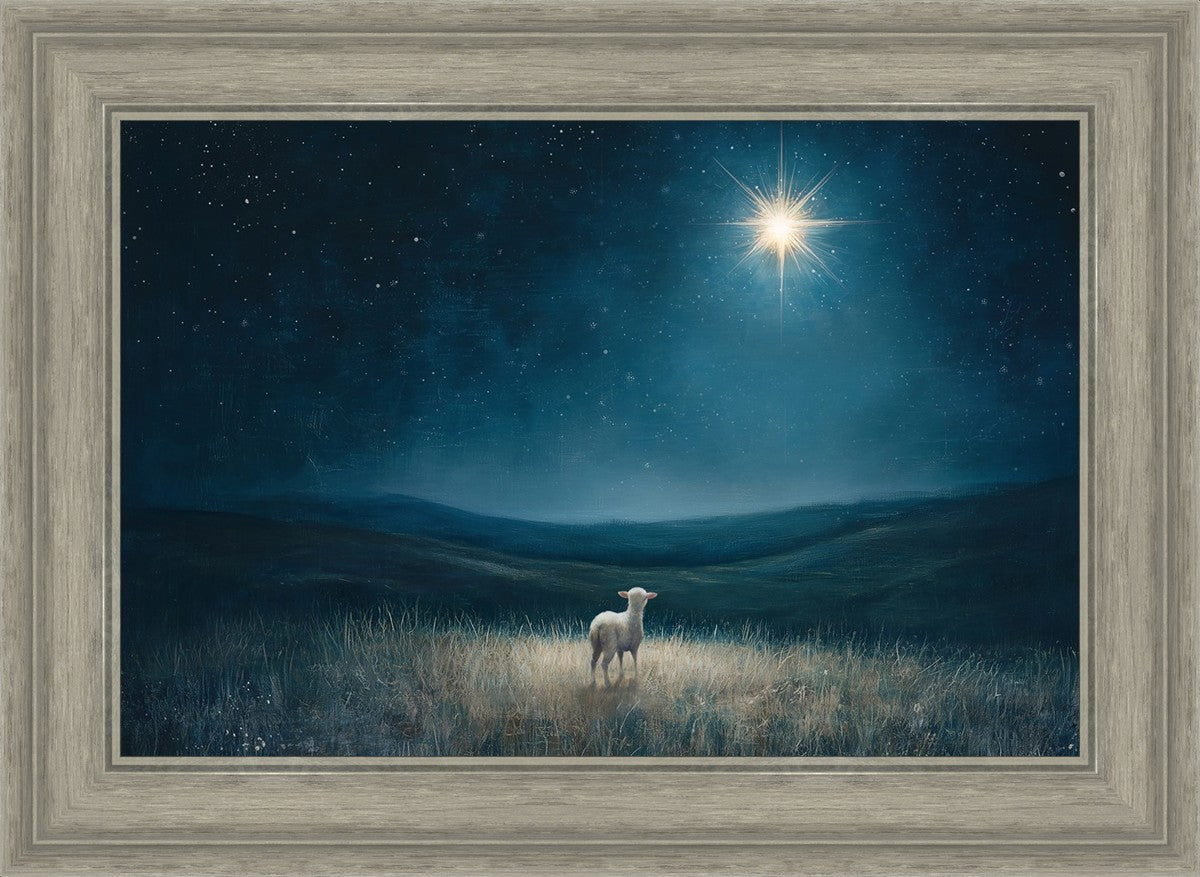 Star of Bethlehem