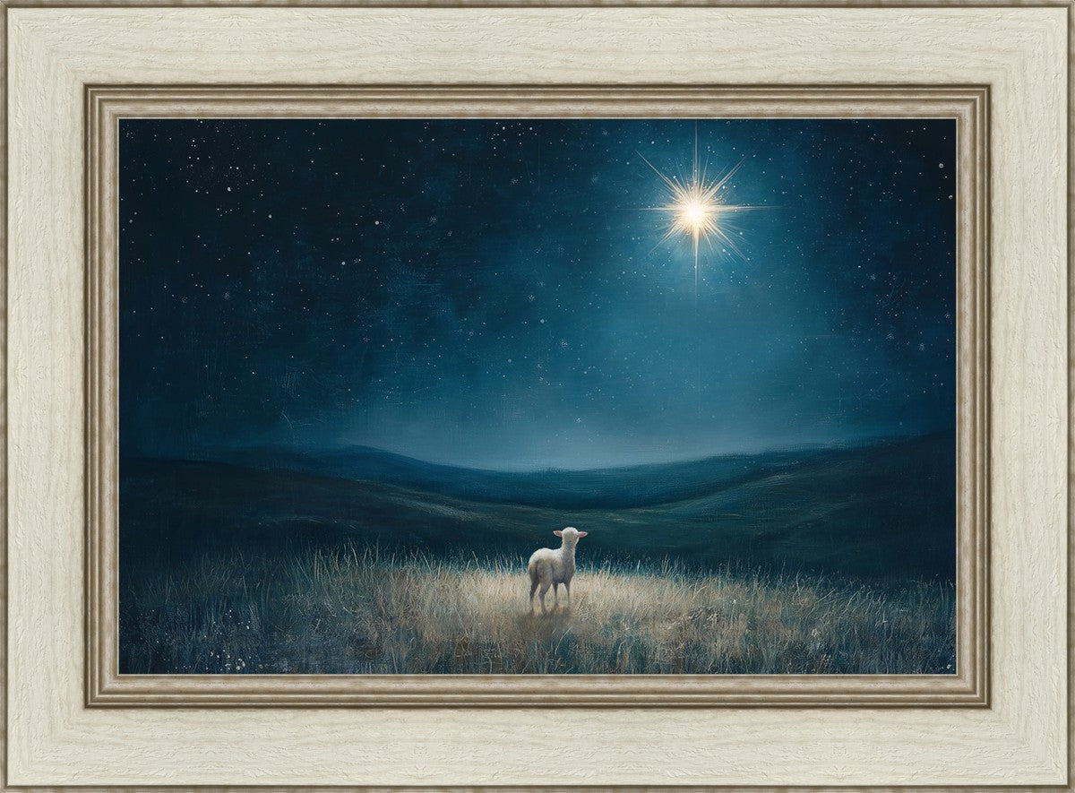 Star of Bethlehem